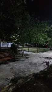 بوستان امام علی(پارک بلک)