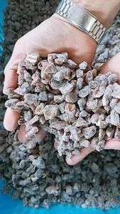 بازرگانی ثریا
