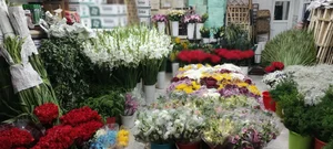 پخش گل طبیعی حاتم یار 5