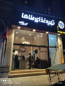 تهیه غذای طاها نوروزی 3