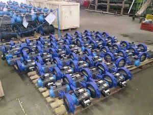 Badran control process components