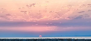 قهوه سیدامو