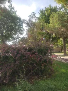 بوستان باهنر 2