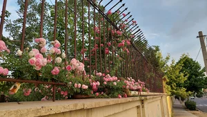 هنرستان پروین اعتصامی ( )