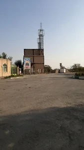 ساروق
