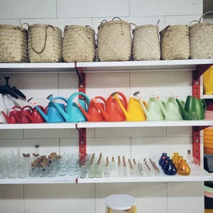فروشگاه تخصصی گل در خانه 2
