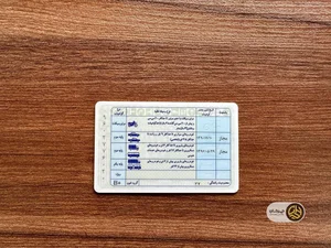پلیس +10
