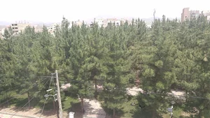 بوستان ولایت
