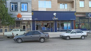 فروشگاه مجاز ایساکو و سایپا یدک (احمدی)