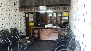 بیمه دانا