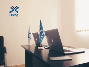 شرکت ماوی