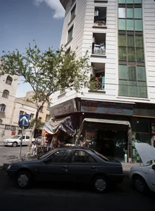 فست فود سبز 2