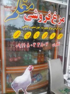 فروشگاه مرغ معلم