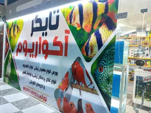 آکواریوم تایگر 4