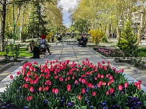 فضای سبز ارغوان
