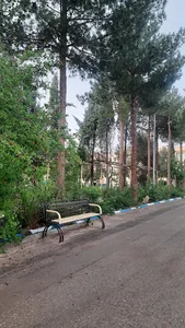 دانشکده فنی دخترانه حضرت رقیه
