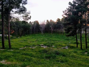 پارک جنگلی زیباشهر