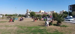 قهوه امیر 4