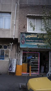 تابلو سازکاکتوس 2