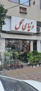 گل فروشی دنیای گل 2