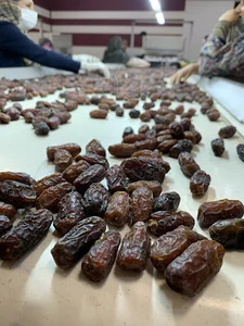 خرمای پیارم ‌وکیلی‌پور