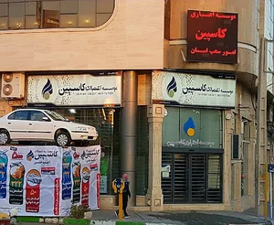 موسسه اعتباری کاسپین( امور شعب)