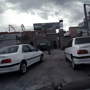 کارواش ELX