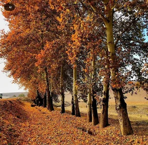 بوستان خان کهریز