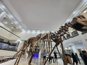 پارک موزه علوم زمین