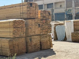 بازرگانی مهدی