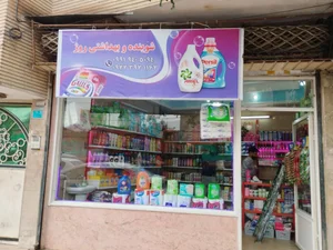 شوینده وبهداشتی روژ 2