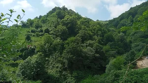 لیلا کوه