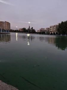 بوستان امام علی 3