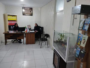 بیمه سامان