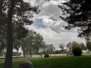 پارک ساحلی شهر