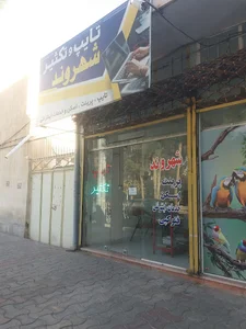 تایپ و تکثیر شهروند