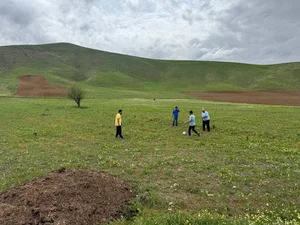مراتع سبز زیبا