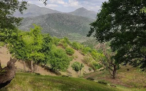 معدن شن و ماسه