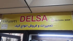 تعمیرات کیف دلسا