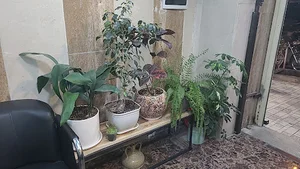 املاک طهرون