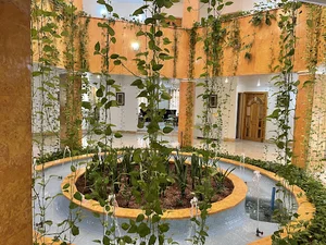 داروسازی سها