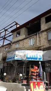 تهیه غذای دلسا