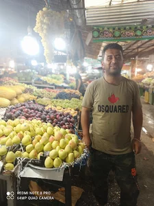 تره بار برادران استارمی