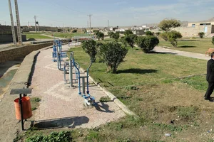 پارک مالیات