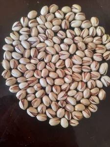 خشکبار حسین میری