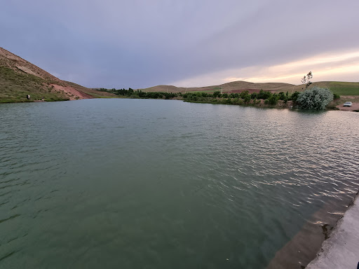 سد کنشگین