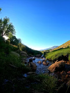 چشمه آب معدنی