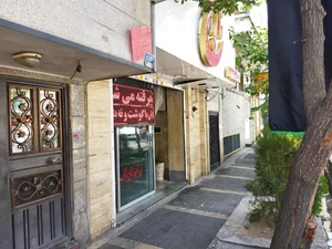 غذای ایرانی نارنج 3