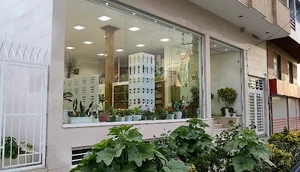 بازرگانی برتر