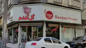 گل فروشی گل گندم 2